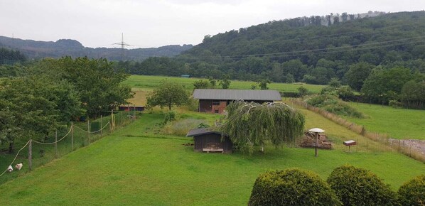 Terrain de l’hébergement 