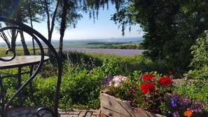 A view from the Patio of Bass Rock Pod
