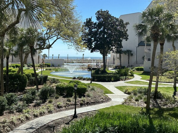 View of Pool and Ocean from 2112 Villamare