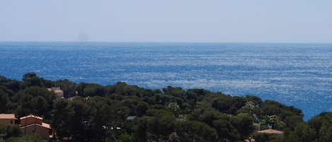 Vue de la terrasse