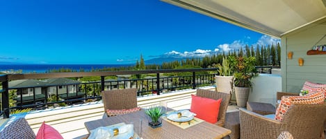 View of the Cook Pines that line the Famous Kapalua Drive