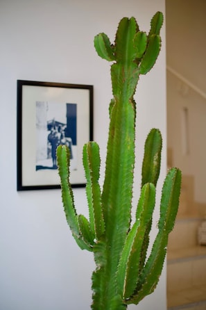 Détail de l’intérieur