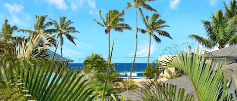 Akala Pua Cottage - Dining Lanai Peek-A-Boo Ocean View - Parrish Kauai