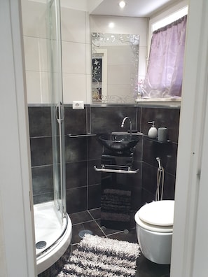 Bagno Privato in Camera con WC, Lavandino e una Doccia Spaziosa.