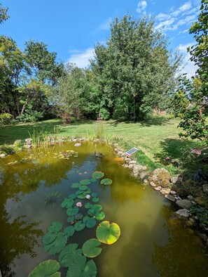 Terrain de l’hébergement 