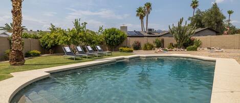 Scottsdale Sahuaro - a SkyRun Phoenix Property - Scottsdale Sahuaro - a SkyRun Phoenix Property - A Private, backyard haven with sparkling swimming pool