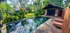 Pool and Hammock