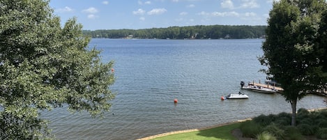 View from the patio