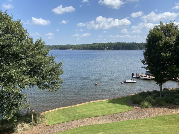 View from the patio