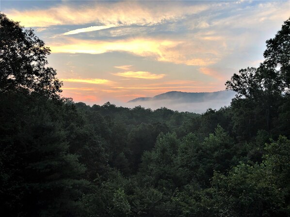 Sip your morning coffee and enjoy the beautiful sunrise at Bearly Movin'!