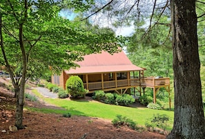 Tucked Away in the Woods