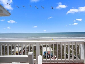 42-web-or-mls-P5080640