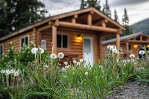 The Cabin