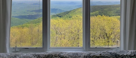 "Waves" of mountains and a view of the valley from the living room windows.