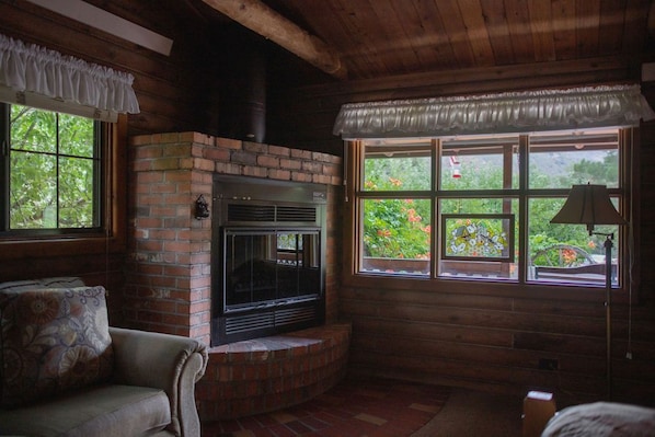 electric fireplace