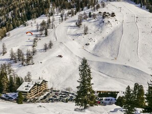 Snow, Plant, Tree, Slope, Mountain, Freezing, Glacial Landform, Terrain, Biome, Atmospheric Phenomenon