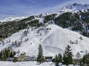 Himmel, Schnee, Berg, Pflanze, Natur, Baum, Steigung, Lärche, Wolke, Einfrieren
