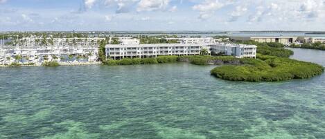 View from from the sky our unit is to the right side view of mangrove/ocean.