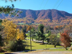 Welcome to the views of the Tuckaleechee Farmhouse, a cabin near Tuckaleechee Caverns and the Cade's Cove entrance to Great Smoky Mtn National Park.