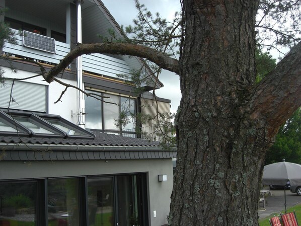 Detalj exteriör