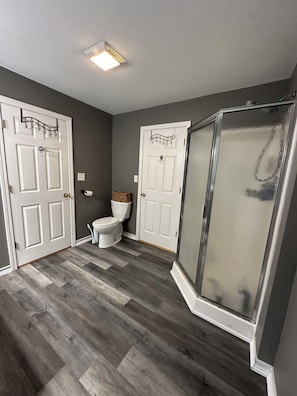 Downstairs master bathroom 