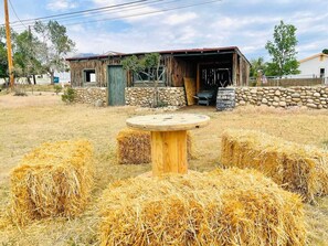 Backyard with Historic Shed