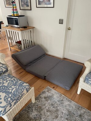 Single futon bed that coverts to chair when not in use