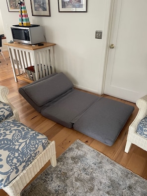 Single futon bed that coverts to chair when not in use