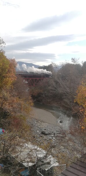 SL locomotive from the room