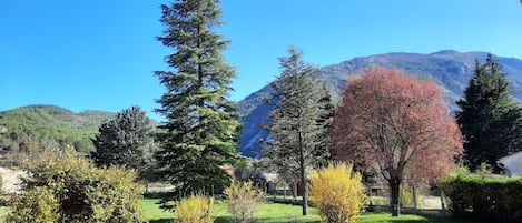 Vue depuis la cuisine