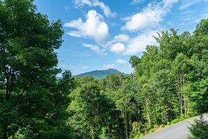 Grandfather Mountain View (to right)