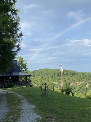 Oklassificerad bild, 4 av 40, knapp