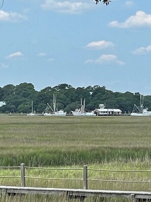 View Across Marsh to Bohicket River