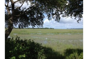 Creek, River, and Marsh Views