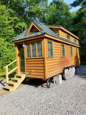 Cedar siding