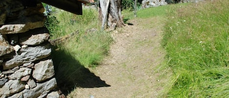 Pianta, Proprietà, Comunita 'Impianto, Albero, Lotto, Erba, Biome, Paesaggio Naturale, Casa, Roccia Di Fondo