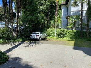 Planta, Coche, Vehículo, Edificio, Vehículo De Motor, Superficie De La Carretera, Casa, Árbol