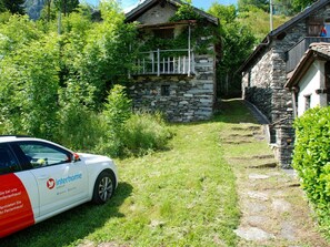 Pflanze, Fahrzeug, Rad, Gebäude, Auto, Fenster, Grün, Baum