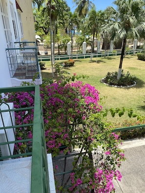 Beach  and garden view from balcony 
