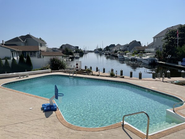 Backyard pool