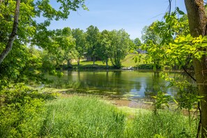 Cleared River Frontage