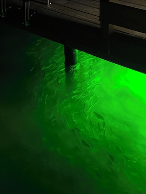 Fish attractant light under dock