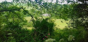 Trethake Mill and its surroundings 