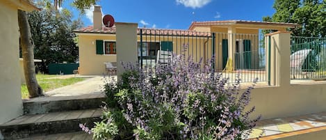 Terrasse Olivetina