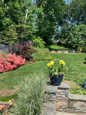 backyard garden and vegetable boxes