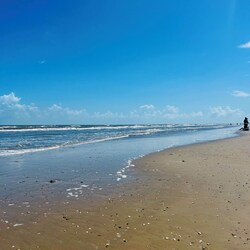 Crystal Beach is rated in the top 12 beaches in Texas and plenty of shells too,