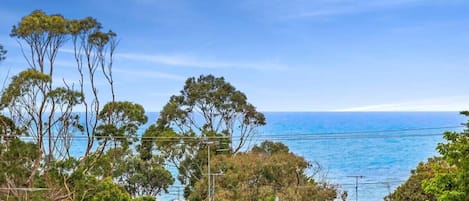 Beautiful ocean views through the trees