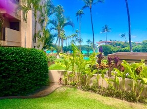 Ocean view from the patio