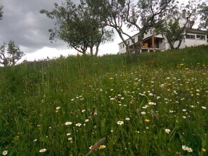 Boendeområde