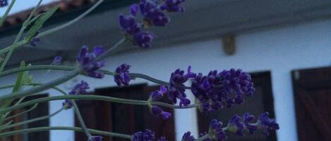 Außendetails